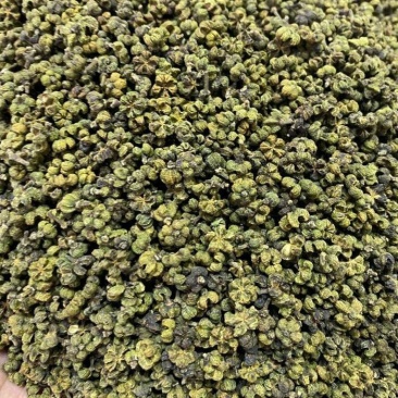吴茱萸干货吴茱萸中药材欢迎选购！量大从优