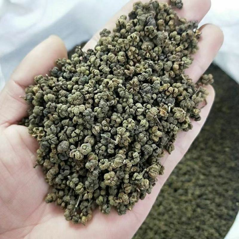 吴茱萸干货吴茱萸中药材欢迎选购！量大从优