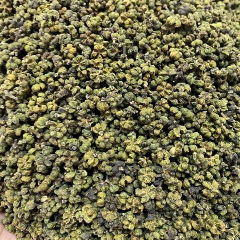 吴茱萸干货吴茱萸中药材欢迎选购！量大从优