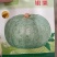 板栗南瓜种子，新选育，品质好，市场上热销品种！