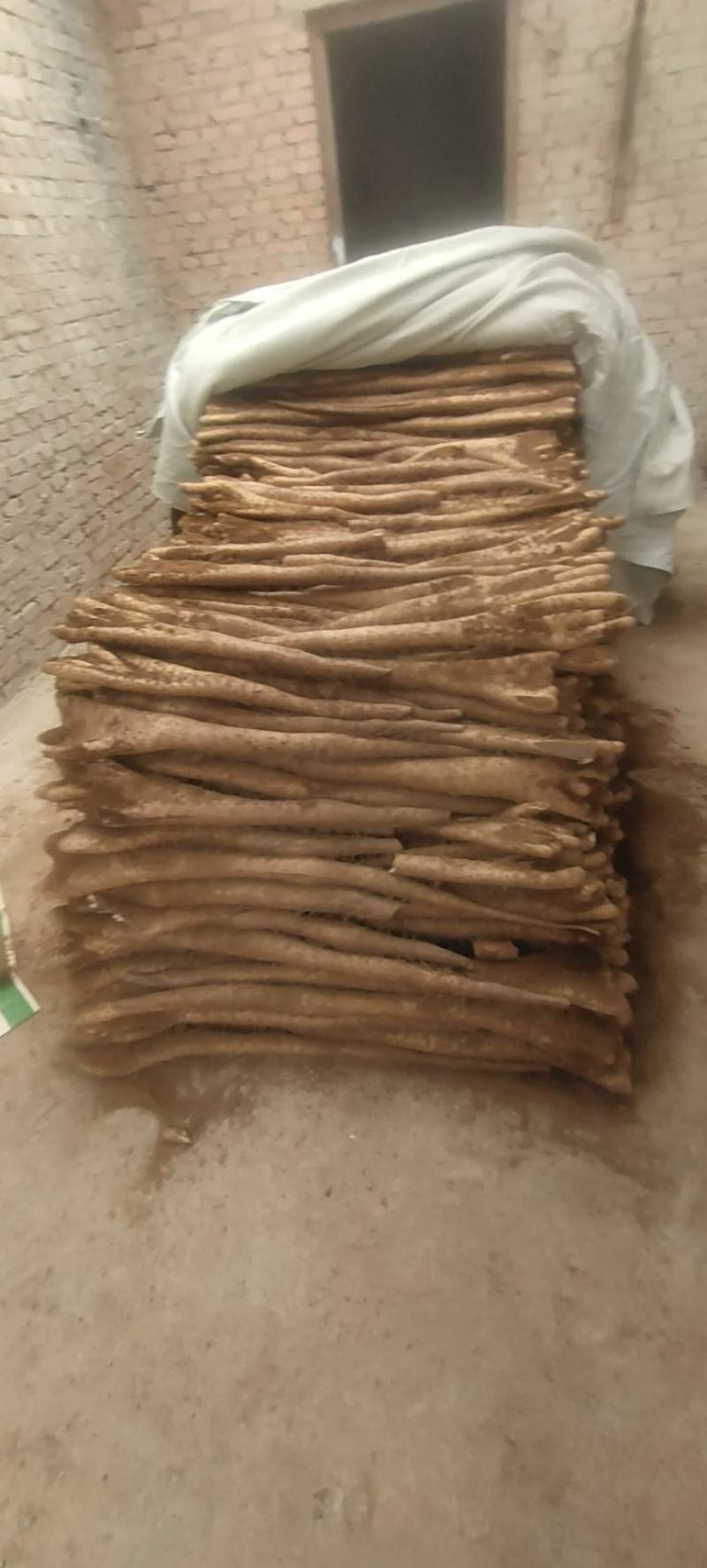 白玉佛手巴掌