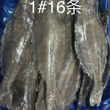 鲽鱼比目鱼