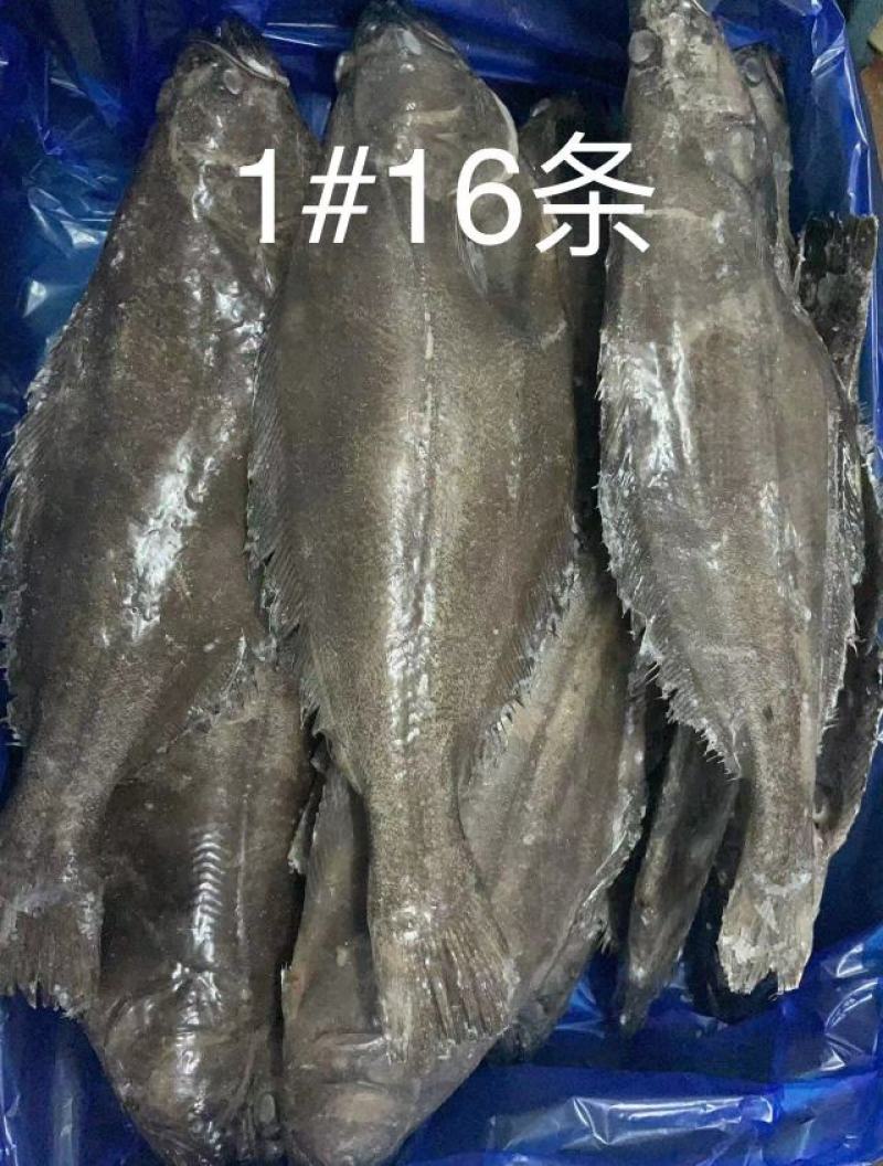 鲽鱼比目鱼