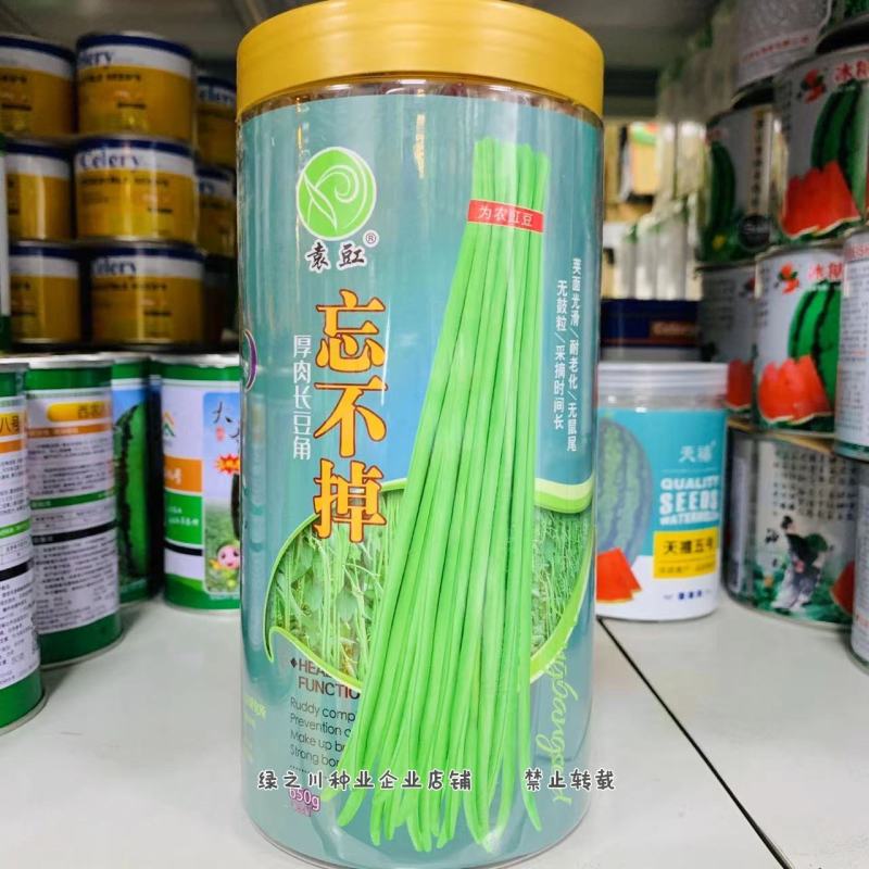江西长豆角种子高产抗病籽少肉厚无鼠尾，翠绿条长豇豆种子