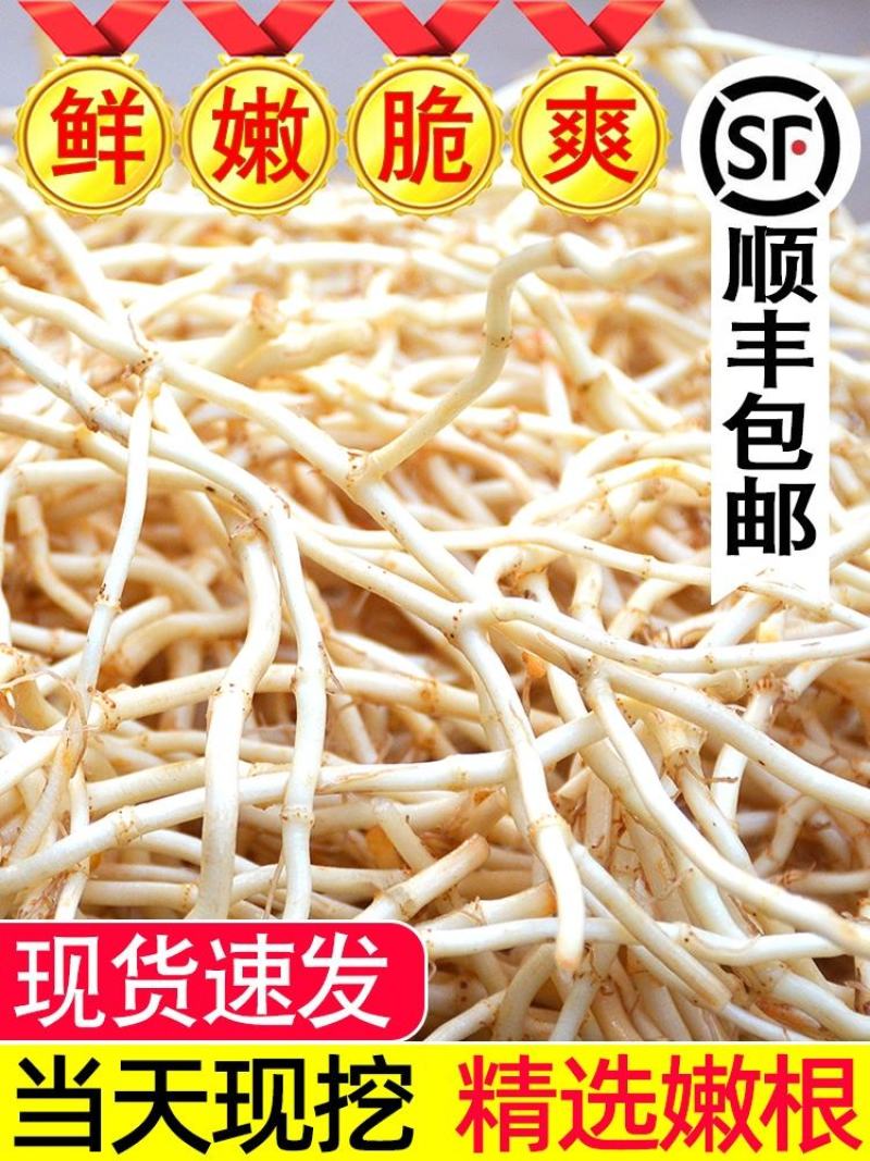 鱼腥草根鱼腥草节节根折耳根支持发货，欢迎订购