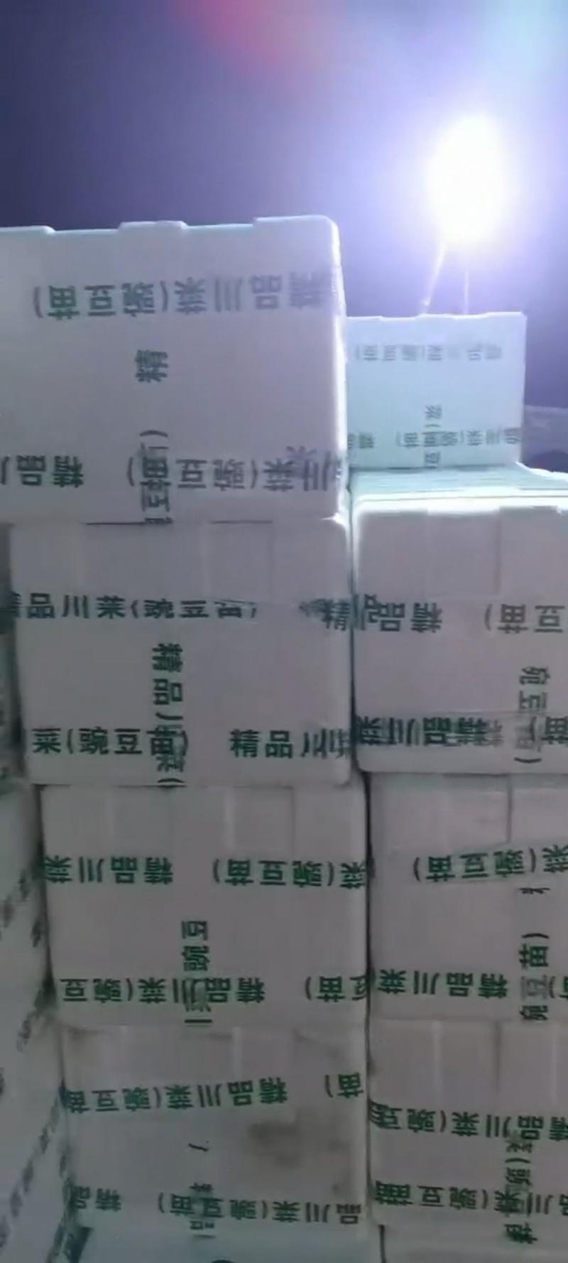 精品豌豆尖长期稳定供应，支持各种包装。
