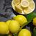 尤力克柠檬自己基地种植，每年有400万斤的量，可洽谈