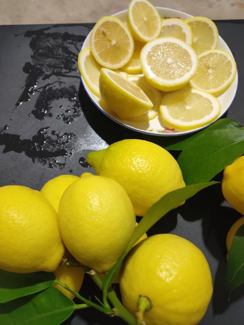尤力克柠檬自己基地种植，每年有400万斤的量，可洽谈