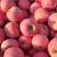 精品条纹红富士苹果大量有货销售，品质好，价格低