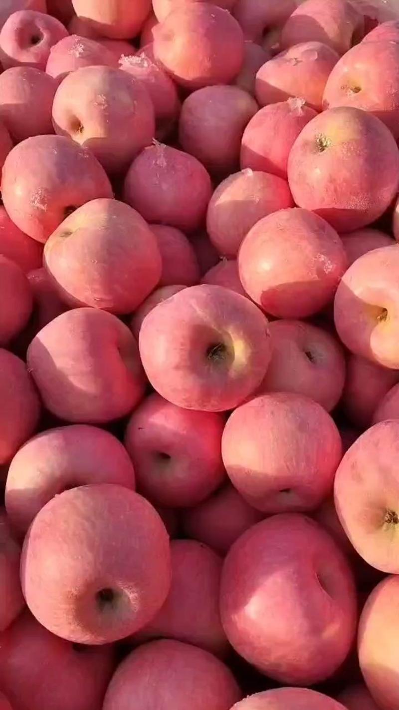 精品条纹红富士苹果大量有货销售，品质好，价格低