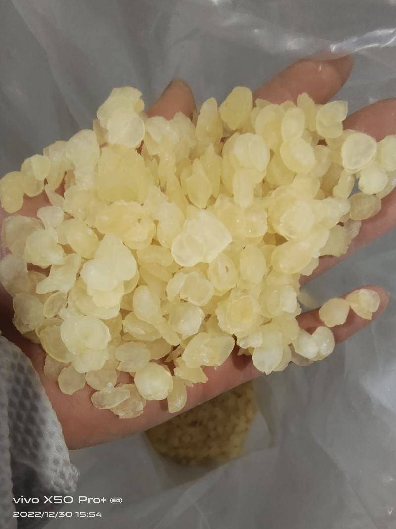 皂角米