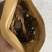 真正荔枝干—增城荔枝菌