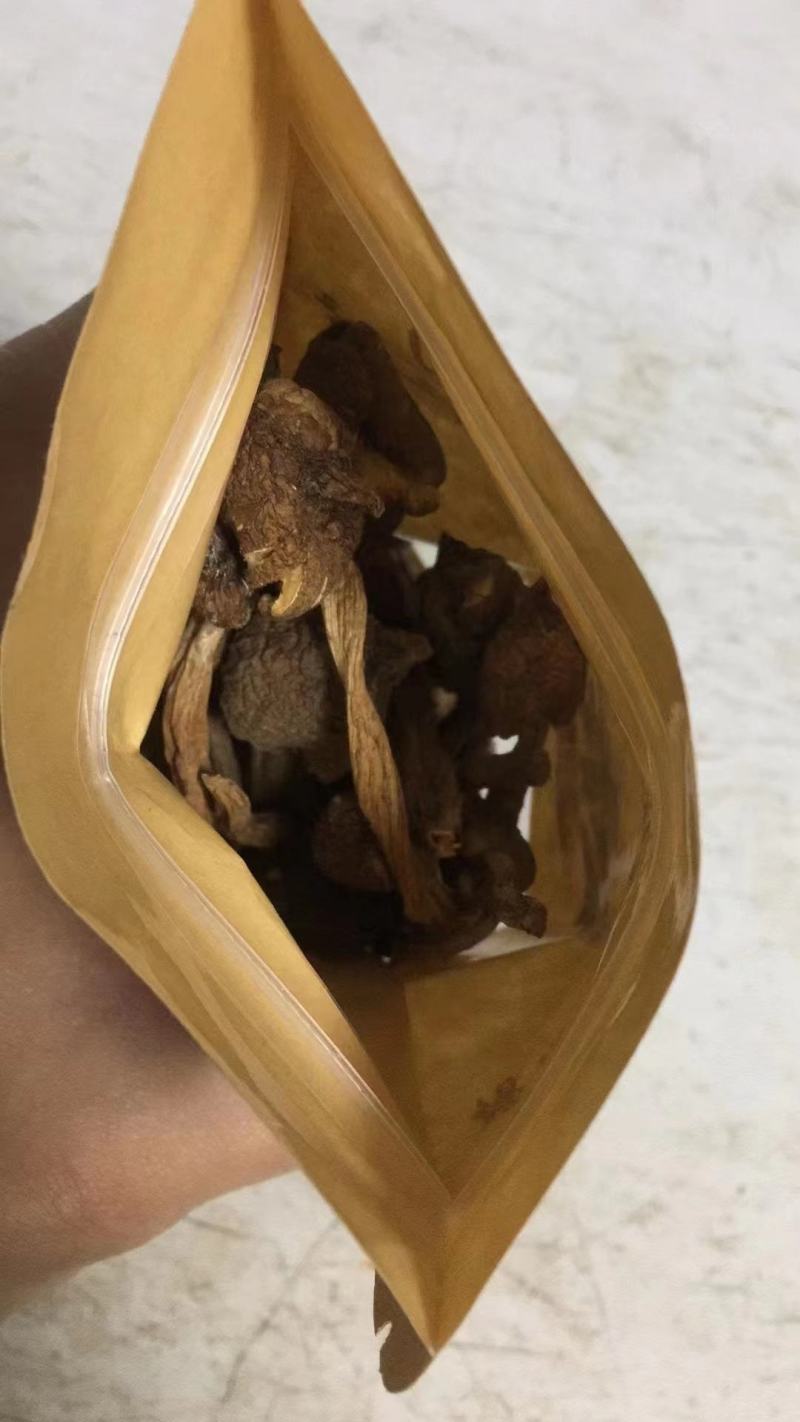 真正荔枝干—增城荔枝菌
