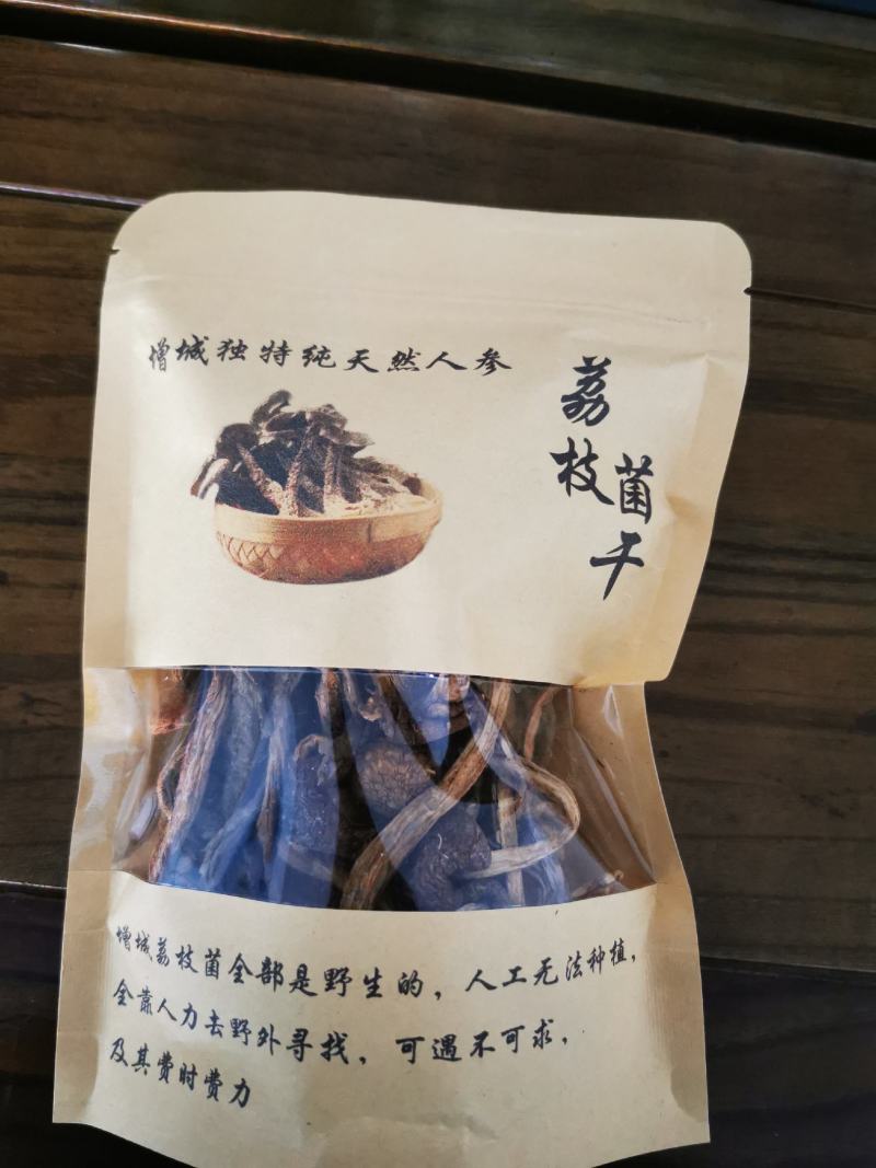 真正荔枝干—增城荔枝菌