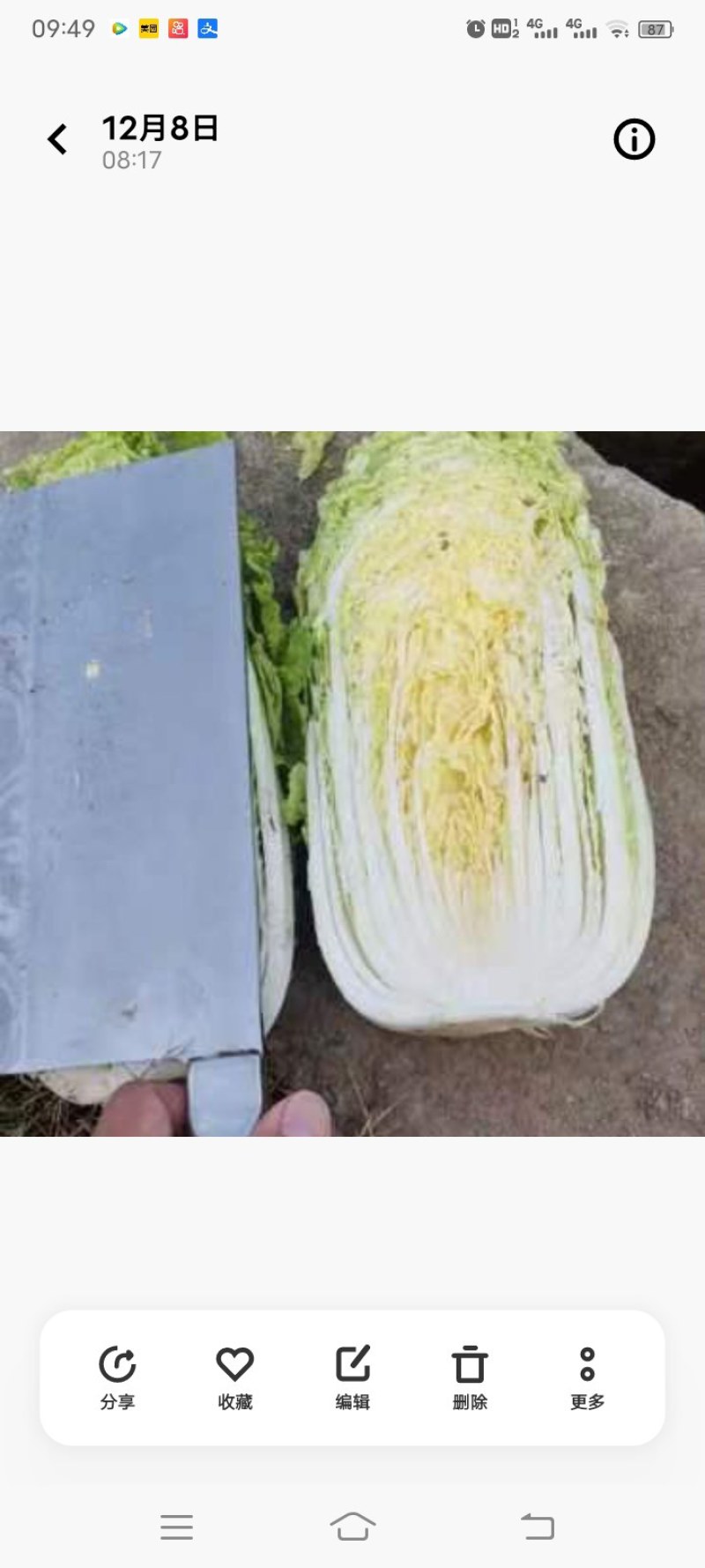 大白菜需要的一亩田与我联系