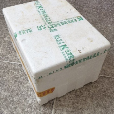 江苏长寿之乡〔新鲜鸽子蛋批发〕新鲜鸽蛋批发营养高-纯鲜蛋