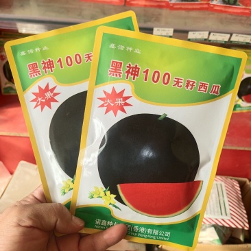 黑神100无籽西瓜种子黑皮西瓜种子抗病高产含糖量高不空心