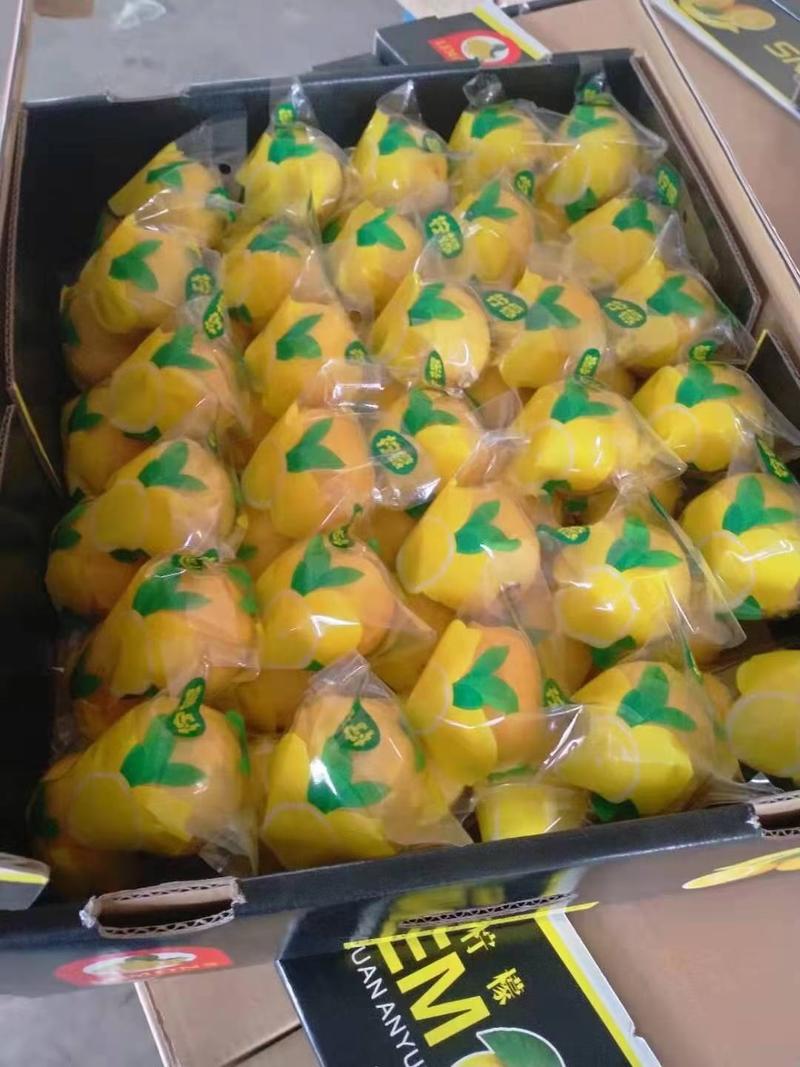 精包装安岳黄柠檬单装双包装等都可以，市场扁箱，可以整车
