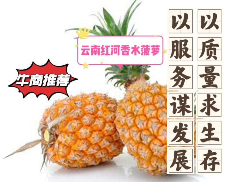 云南河口香水菠萝，口感好，价格合适，规格多