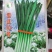 雪韭10号宽叶白根韭菜种子200克农户种植户农家庭院