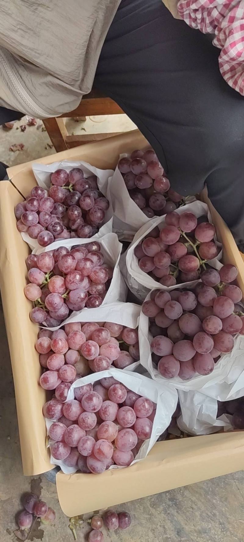 红提