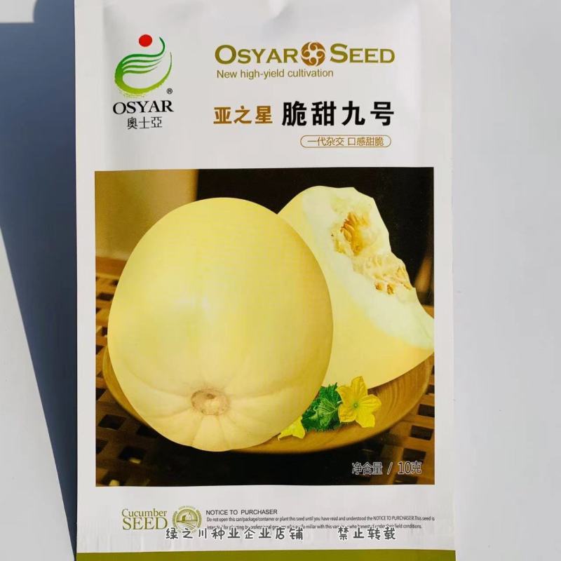 亚之星脆甜九号甜瓜种子成熟时果皮淡黄色薄皮甜瓜种子特甜