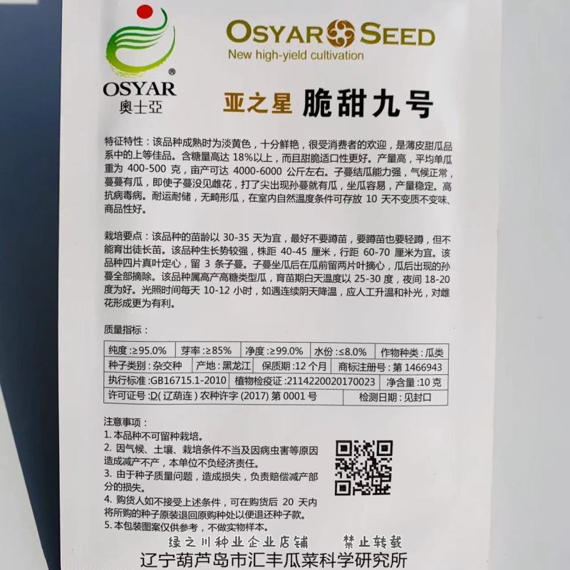 亚之星脆甜九号甜瓜种子成熟时果皮淡黄色薄皮甜瓜种子特甜