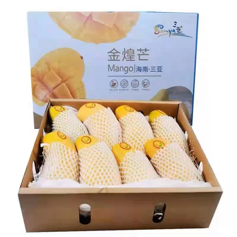 海南三亚金煌芒果新鲜上市（包邮）
