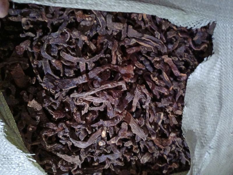 骨碎补品质优良产地一手货源交通方便物流便