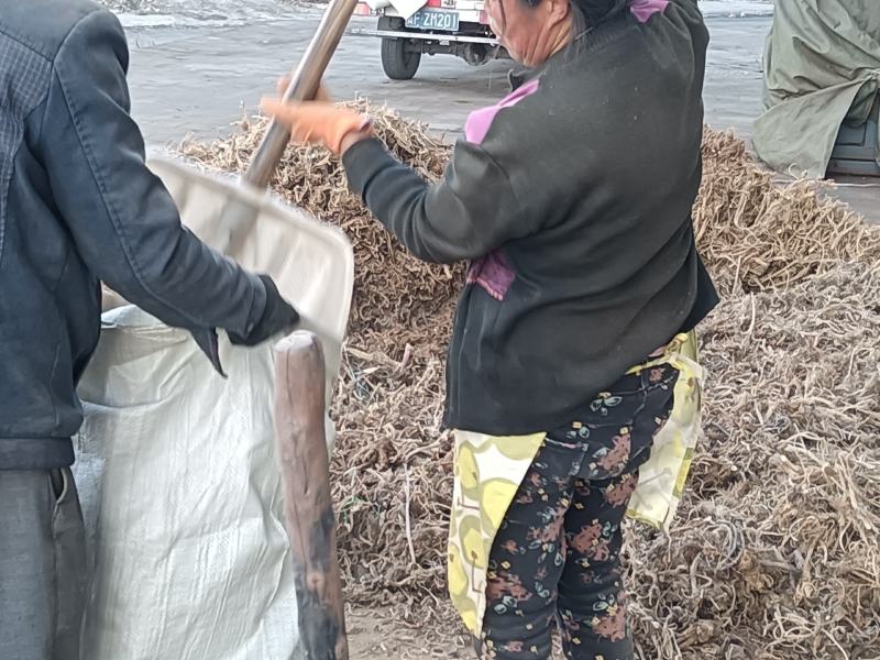 前胡贵州前胡交通方便一手货源物流发货