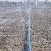 农用微喷带土地流转灌溉水带省水省工不易腐蚀