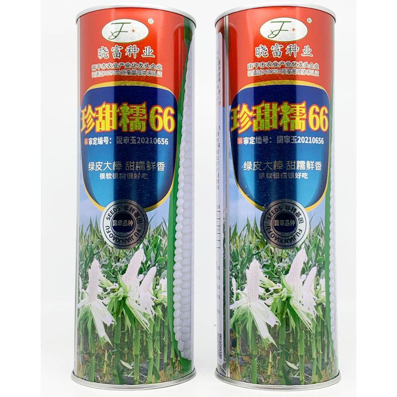 晓富珍甜糯66白甜糯玉米种子大棒非转甜加糯白玉米种原装