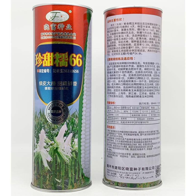 晓富珍甜糯66白甜糯玉米种子大棒非转甜加糯白玉米种原装