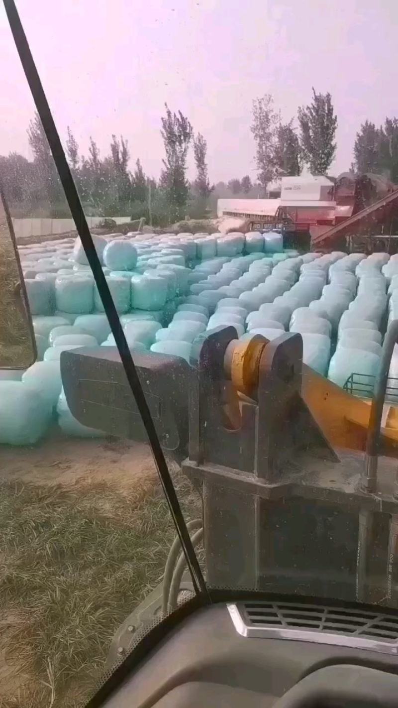 畜牧养殖青储黄储牛羊草料一次打包保质保量支持到付厂家