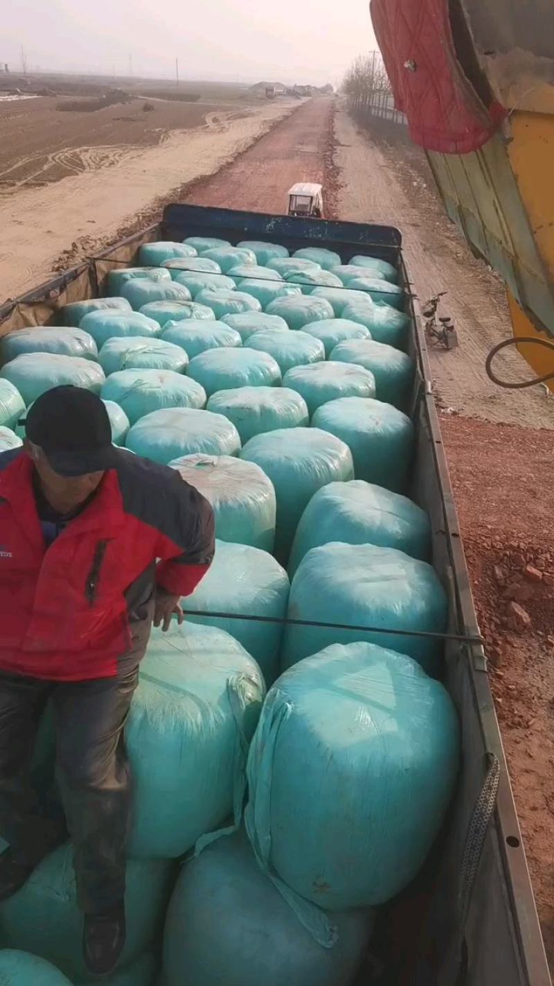 畜牧养殖青储黄储牛羊草料一次打包保质保量支持到付厂家