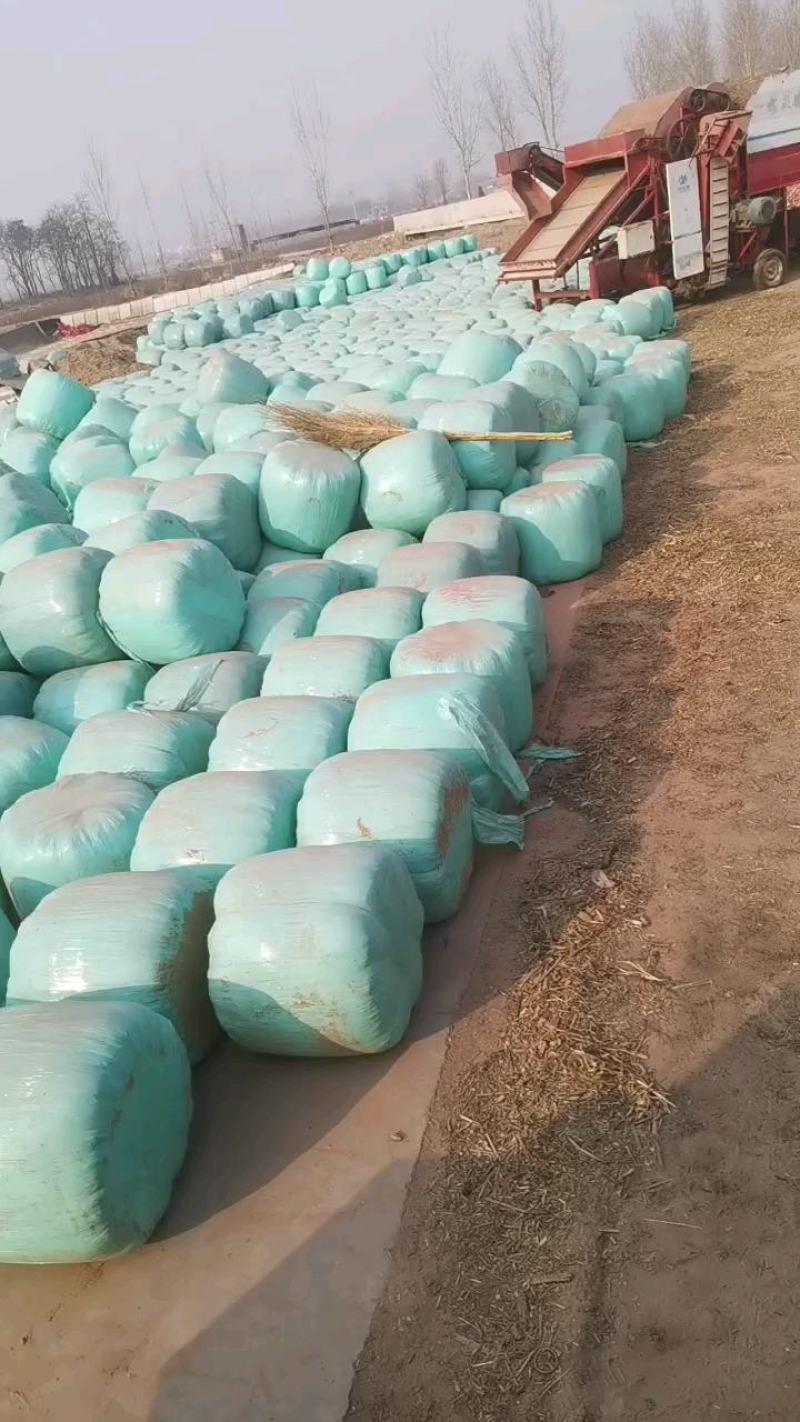 畜牧养殖青储黄储牛羊草料一次打包保质保量支持到付厂家