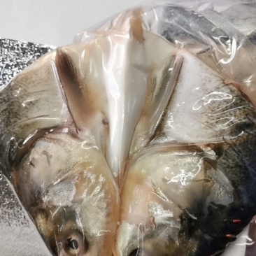鲢鱼头