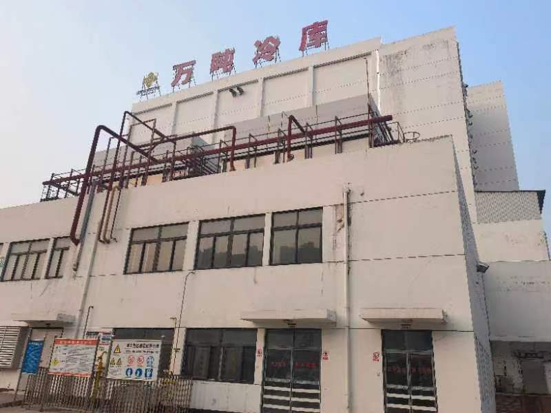 【精品】湖北虾尾液氮锁鲜量大从优鲜果加工产地直发物美价廉