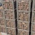山药苗基地直发入品质保证量大从优欢迎来电