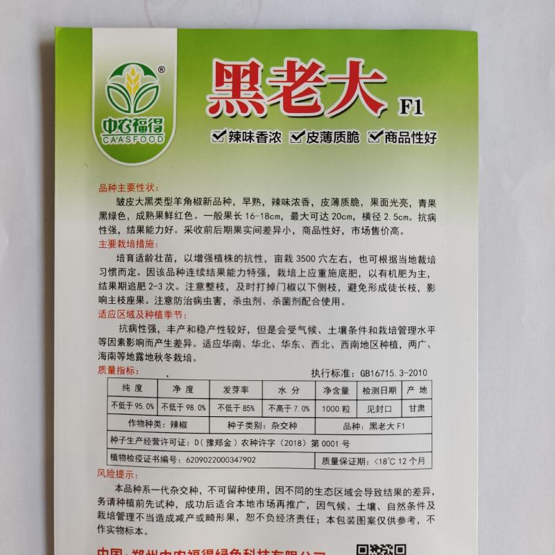 黑老大皱皮辣椒种子皮薄质脆辣味香浓大果黑绿皮大田用种