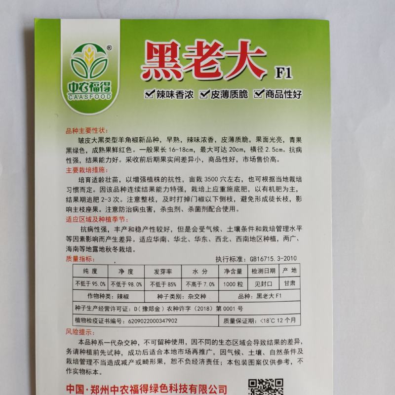 黑老大皱皮辣椒种子皮薄质脆辣味香浓大果黑绿皮大田用种