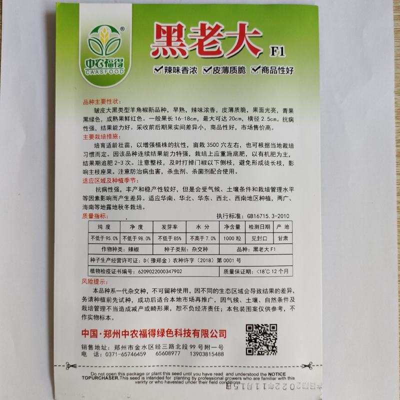 黑老大皱皮辣椒种子皮薄质脆辣味香浓大果黑绿皮大田用种