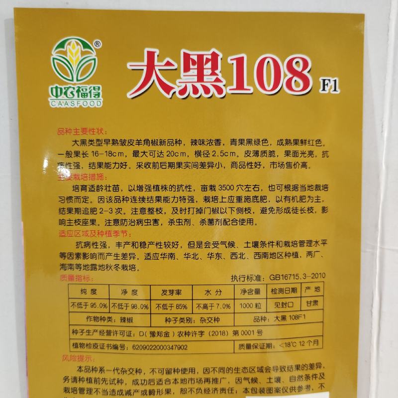 皱皮辣椒种子中早熟皮薄质脆辣味香浓大果黑绿皮大田基地