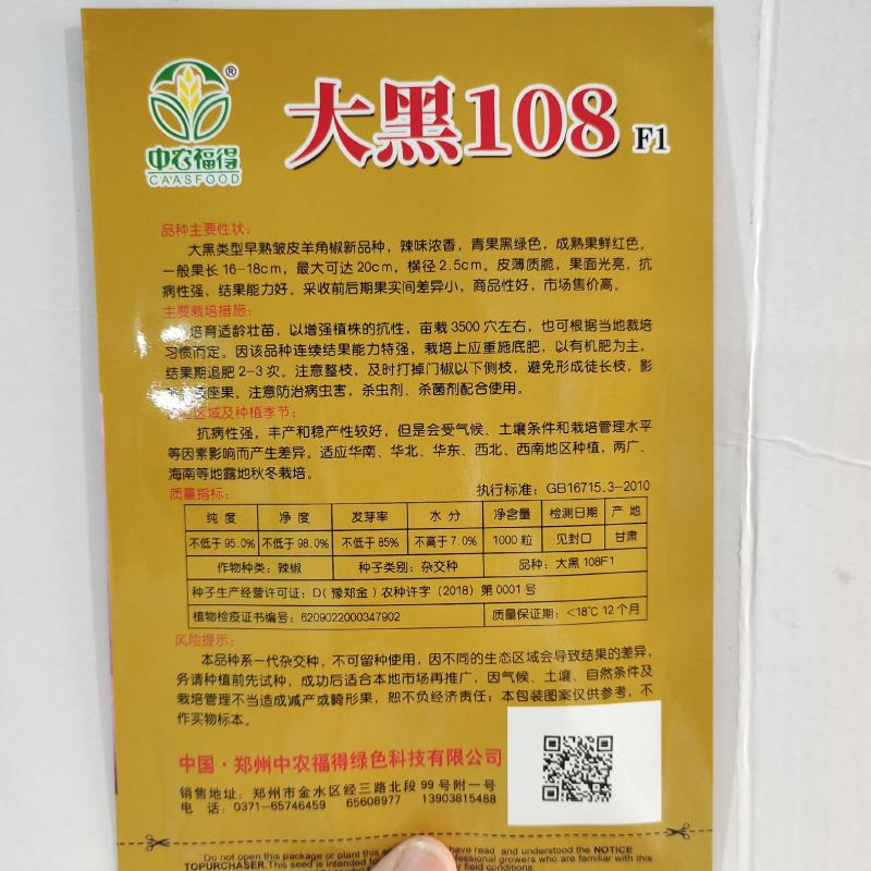 皱皮辣椒种子中早熟皮薄质脆辣味香浓大果黑绿皮大田基地