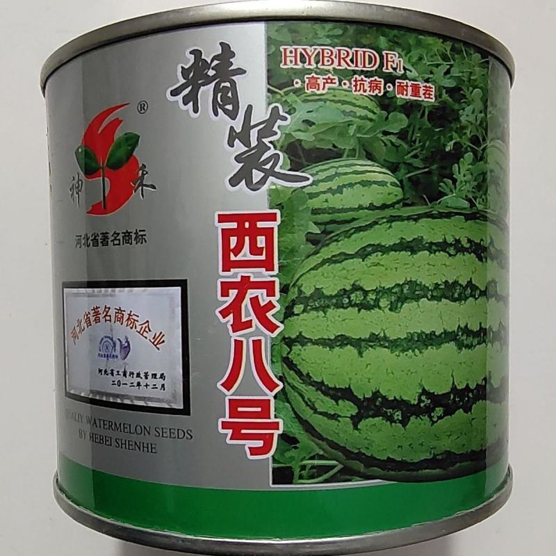 精装西农八号大西瓜种子高产早熟懒汉超甜抗重茬西瓜籽四季