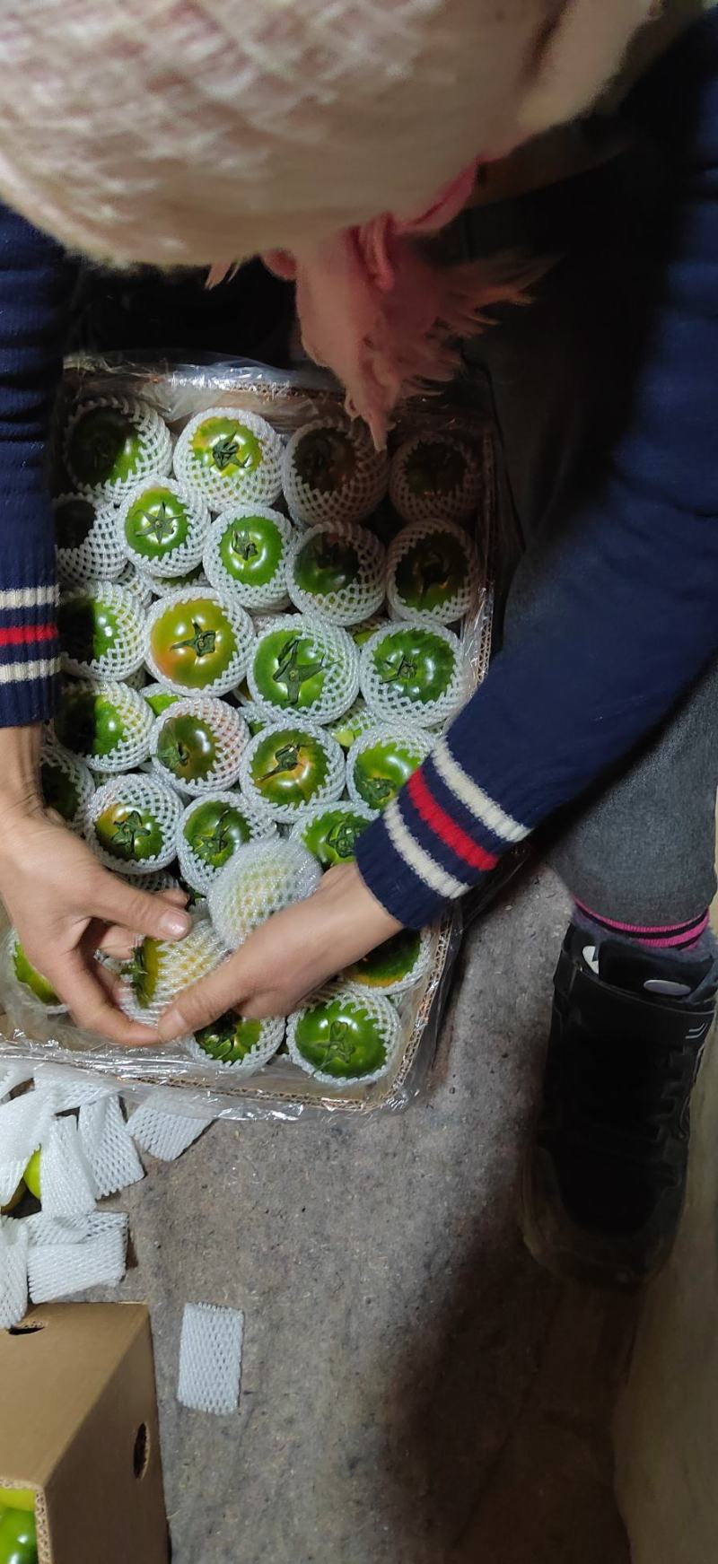 草莓柿子