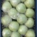 王林青苹果，冷库货，大，中，小果都有，货源足，价格便宜。