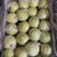 王林青苹果，冷库货，大，中，小果都有，货源足，价格便宜。