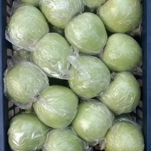 王林青苹果，冷库货，大，中，小果都有，货源足，价格便宜。