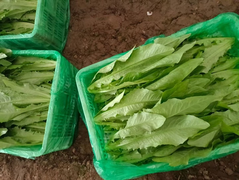 产妇正在厨房准备食材